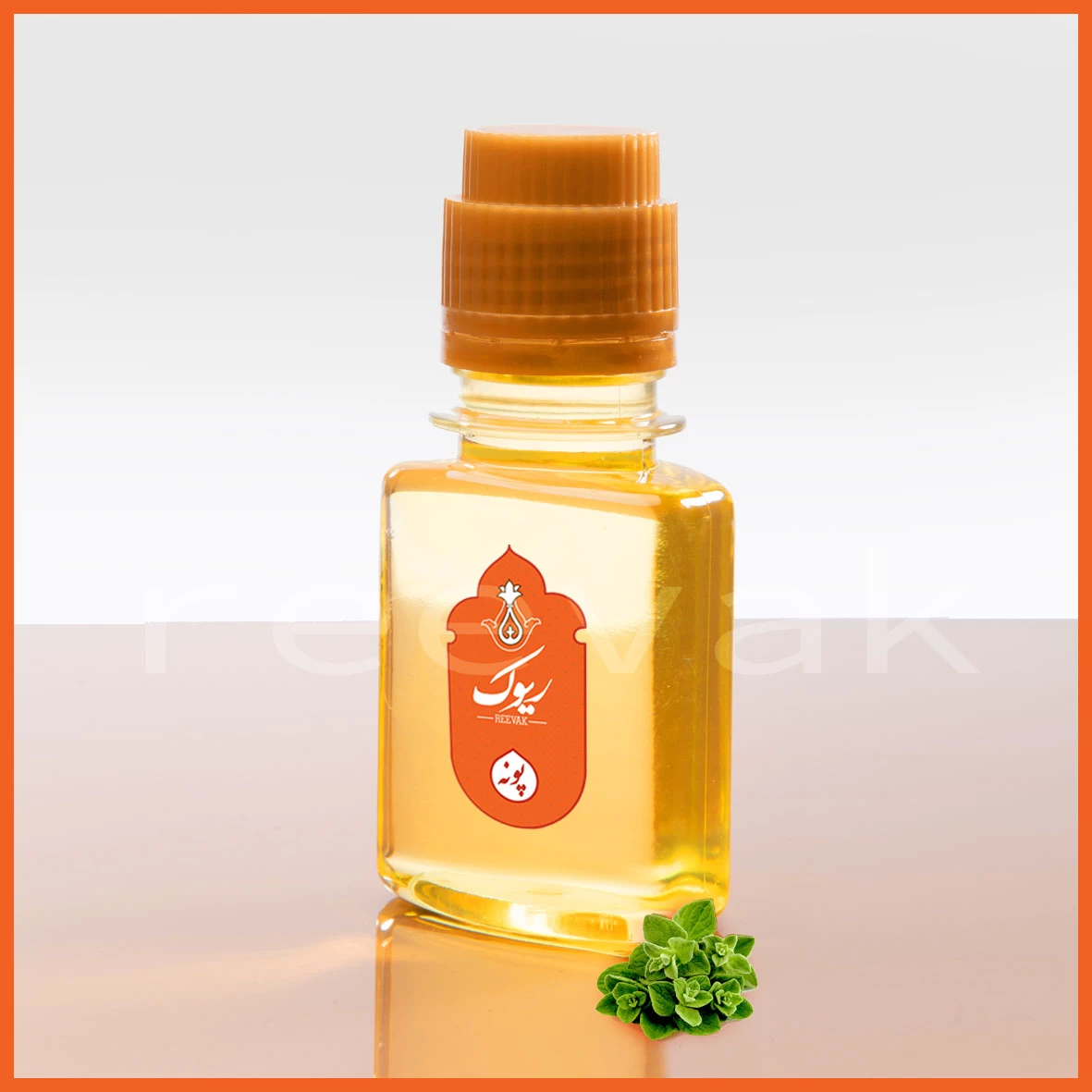 روغن پونه